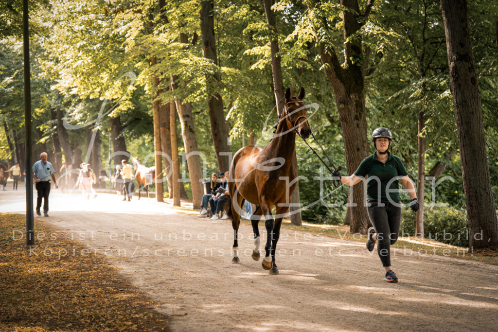 FrPfM00017 | Leoni Ertmer Photography - Realisiert mit Pictrs.com