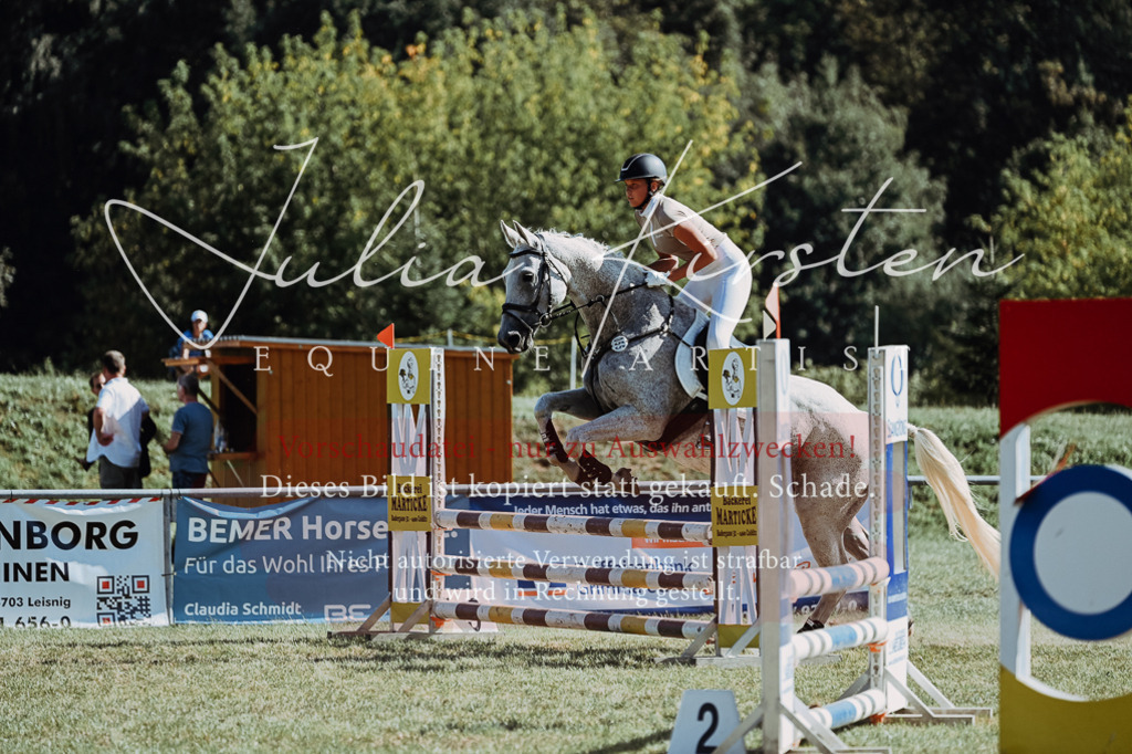 DSC_6867 | Pferde- und Turnierfotografie in Westsachsen. Pferdeportraits, Auftragszeichnungen und intuitive Kunst.