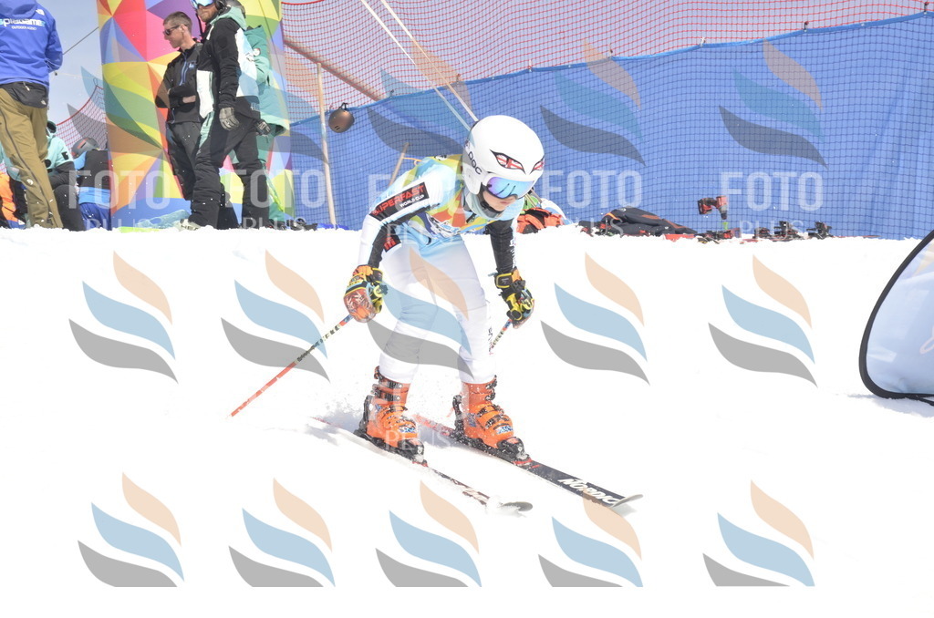 _ELE9575 | holidayphoto