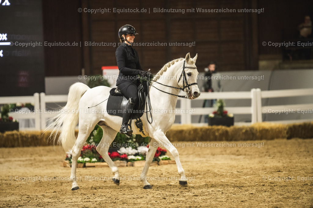 20240302_Hengstvorstellung_Marbach_TOMsPiC_1085-2 | equistock