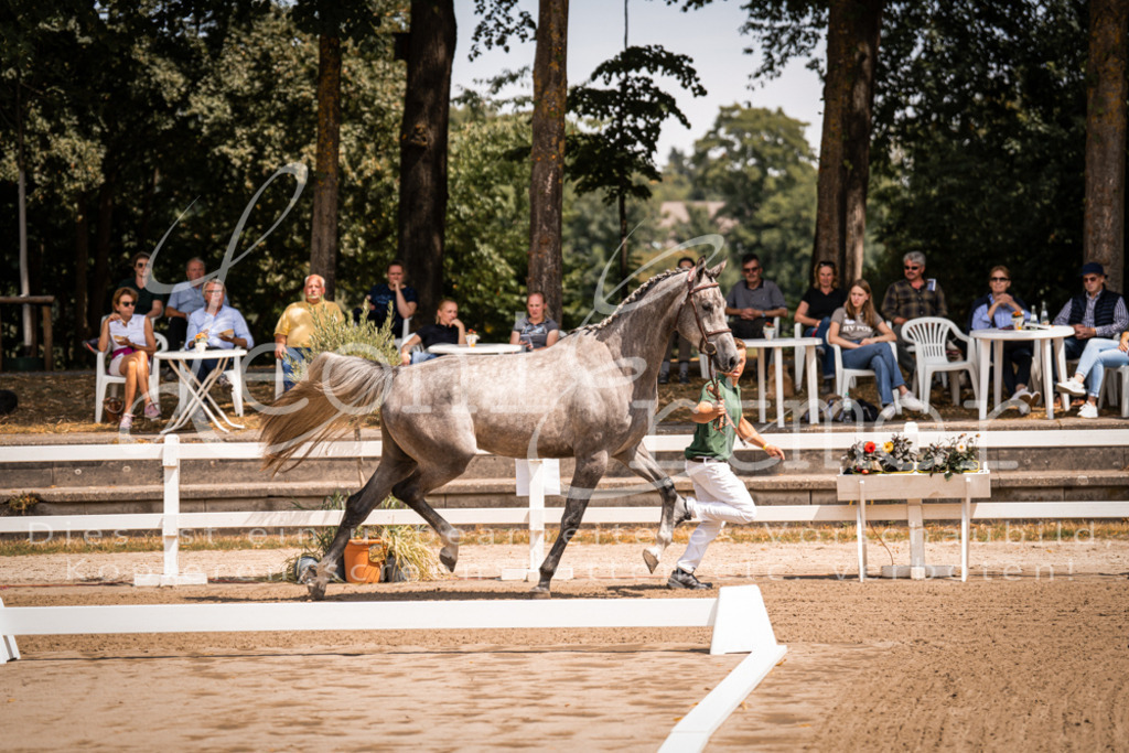 1.Fr00024 | Leoni Ertmer Photography - Realisiert mit Pictrs.com