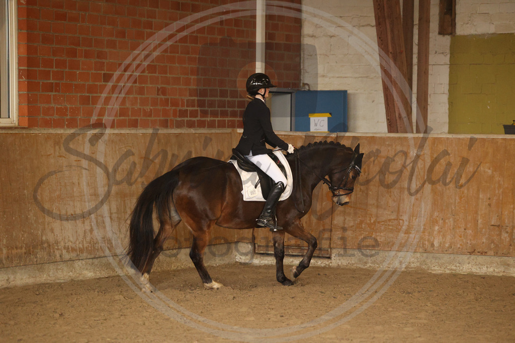 994A9132 | sabrinanicolaifotografie - Realisiert mit Pictrs.com