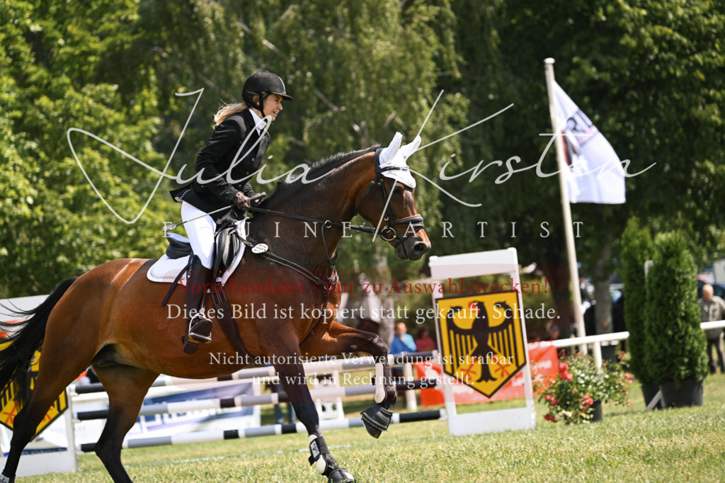 DSC_9020 | Pferde- und Turnierfotografie in Westsachsen. Pferdeportraits, Auftragszeichnungen und intuitive Kunst.