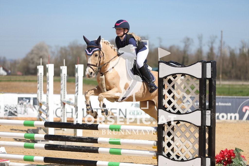 0P6A0700 | Willkommen bei Brunnmayr - Design & Fotografie – Ihrem Spezialisten für Reitturniere und Pferdeveranstaltungen in Oberösterreich, Salzburg und Bayern! Seit über 17 Jahren sind wir leidenschaftlich dabei.