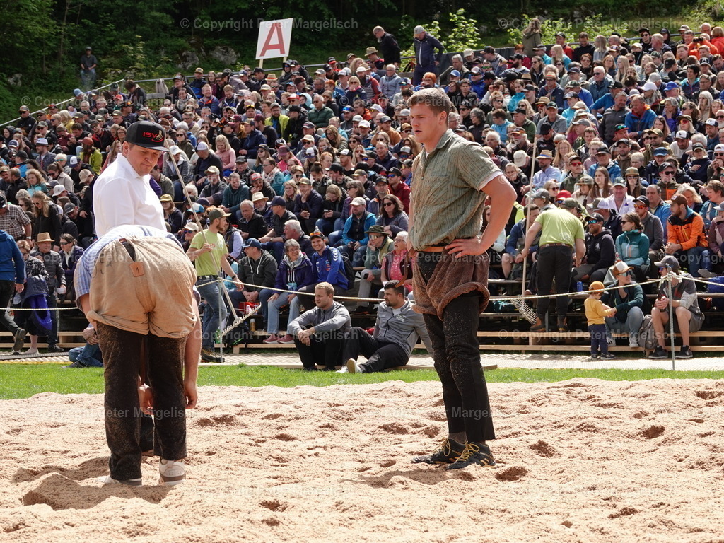 DSC07178 | Schwingen - Realisiert mit Pictrs.com