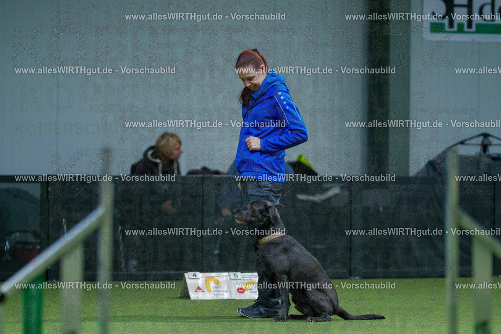 7R502447 | Professionelle Tierfotografie in Mönchengladbach von Daniel Wirth (allesWIRTHgut). Liebevolle & natürliche Bilder von Hunden & Katzen für unvergessliche Erinnerungen.