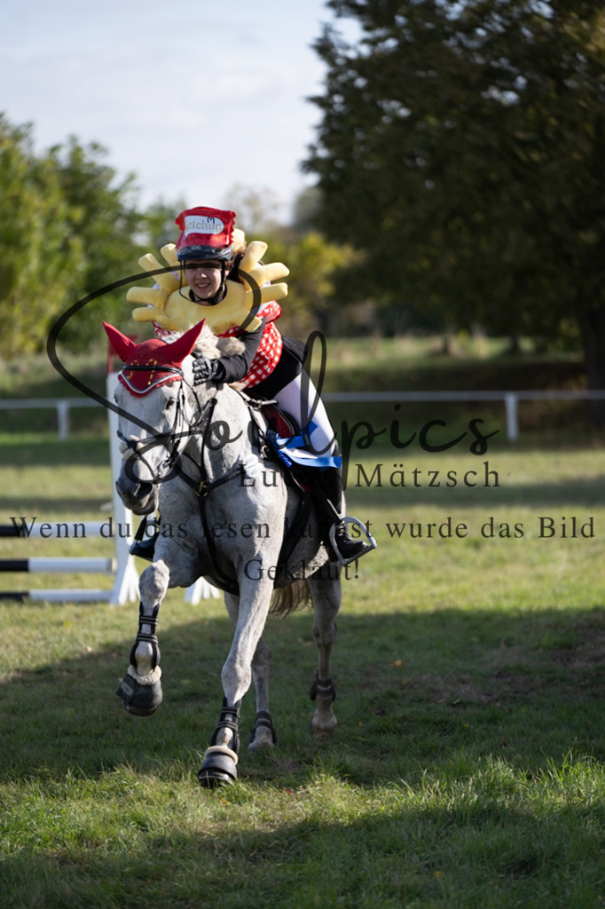 A7V06613 | Pferdefotograf