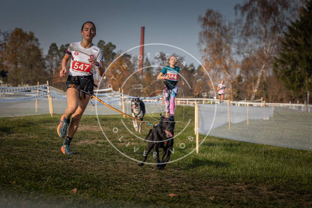 CaniXpix_0L8A9336 | Hundefotografie, Tierfotograf, Pfotenfotografie, Fotoshooting Hund, Hunde Portrait, Hundesport, Hundeportraits, Heideshooting, Hunde, Sportfotograf, Hundefotograf, Turnierhundsport, THS,  - Realisiert mit Pictrs.com