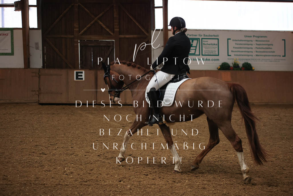 IMGT8866 | pl-fotografie