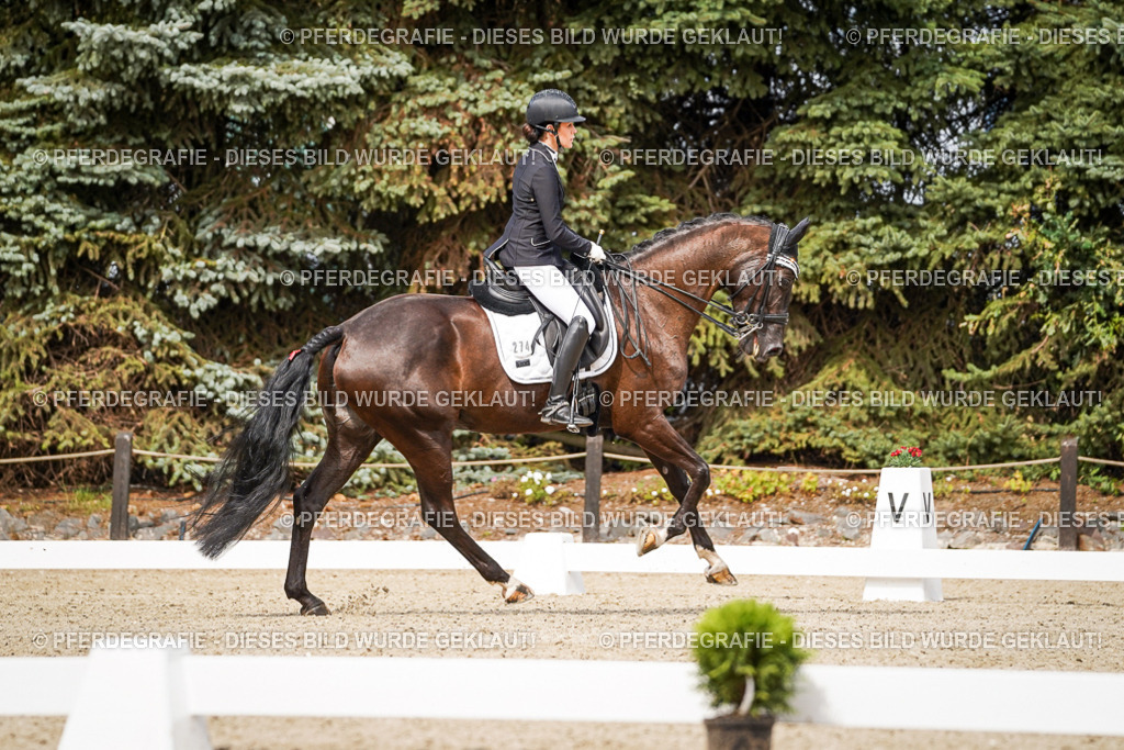 DSC06356 | Pferdegrafie