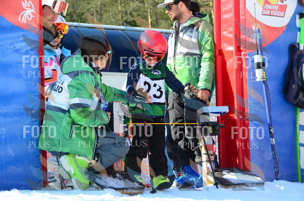 C4772 | holidayphoto