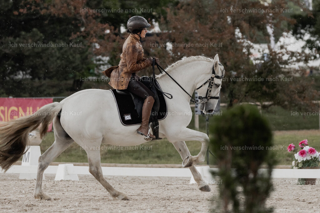 WE_DR_Stoib_347_PI2025_218 | Pferd International München 2025