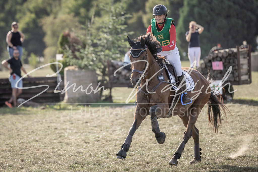 20250907-_3LI3968 | Tierfotografie Pferde, Hunde, Katzen, Haustiere.
Turnierfotografie Reitturniere, Reiten, Springreiten, Dressur in Hanau, dem Main-Kinzig-Kreis und dem Rhein-Main- Gebiet um Frankfurt
