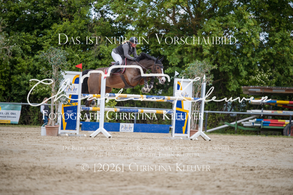 DSC_6579 | Christina-Kleuver