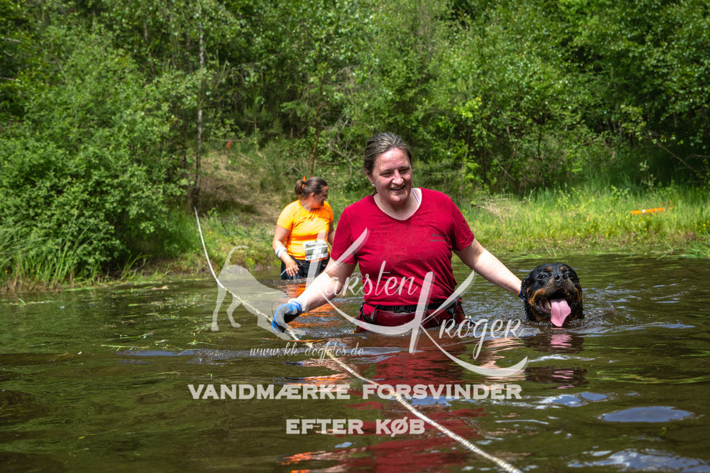 1225DKK992782 | kk-dogfotos