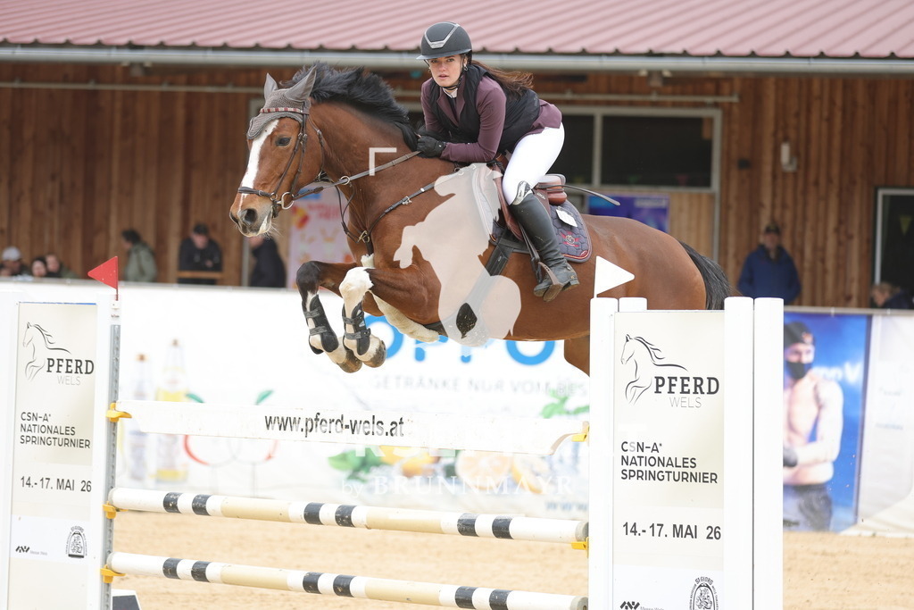 0P6A2893 | Willkommen bei Brunnmayr - Design & Fotografie – Ihrem Spezialisten für Reitturniere und Pferdeveranstaltungen in Oberösterreich, Salzburg und Bayern! Seit über 17 Jahren sind wir leidenschaftlich dabei.