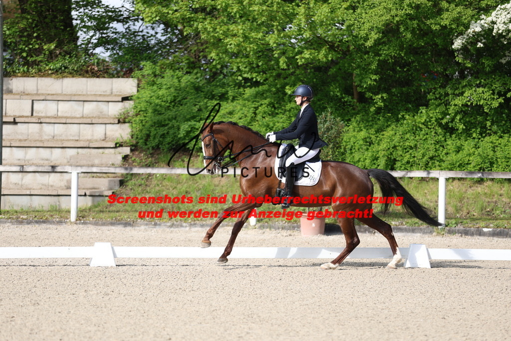 A40A3559 | lmwpictures - Realisiert mit Pictrs.com