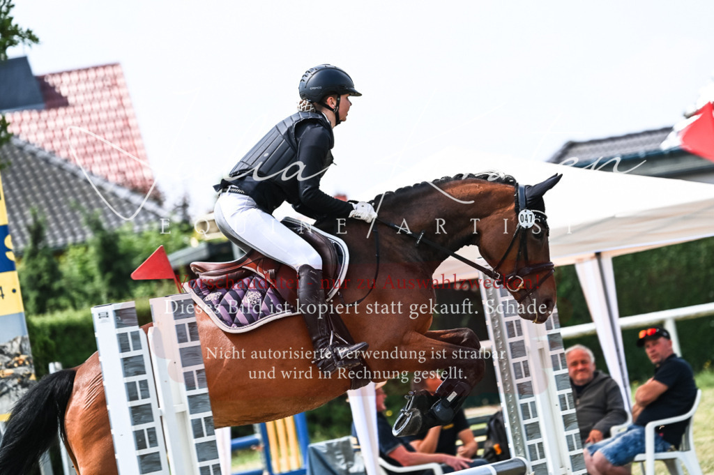 DSC_9487 | Pferde- und Turnierfotografie in Westsachsen. Pferdeportraits, Auftragszeichnungen und intuitive Kunst.