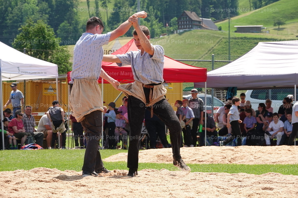 DSC04371 | Schwingen - Realisiert mit Pictrs.com
