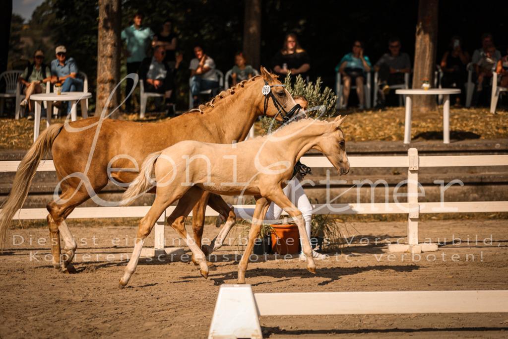 10.DoRP00134 | Leoni Ertmer Photography - Realisiert mit Pictrs.com