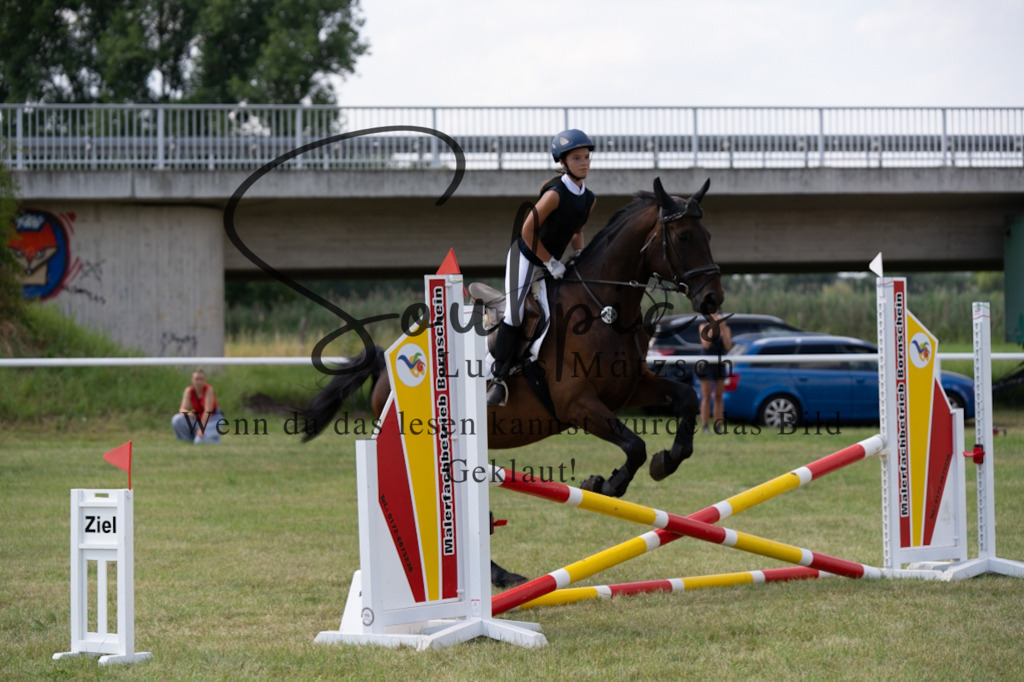 A7V00483 | Pferdefotograf