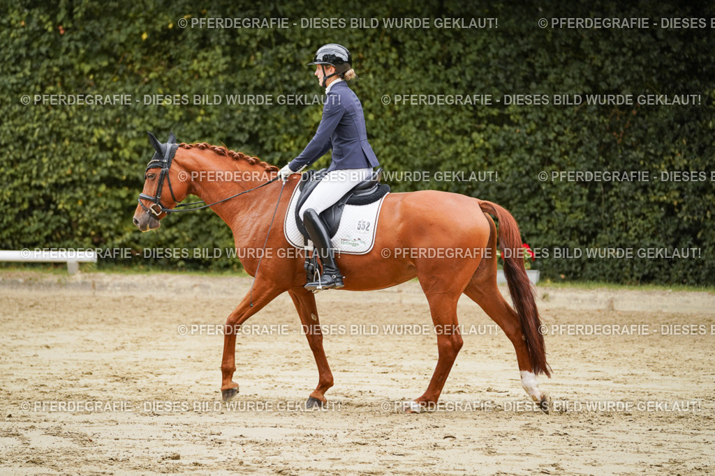 DSC00134 | Pferdegrafie