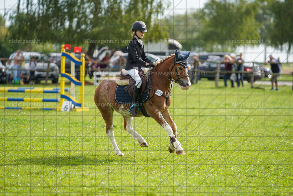20230917-FAH09221 | Landsberg am Lech, 2023, Kaufbeuren, Kempten, Allgäu, Turnierfotografen Bayern, Fotoagentur Herrmann, Turnierbilder, Reitsport Fotos, Pferdefotograf, Augsburg, Bad Tölz, Dachau, Karlsfeld, Memmingen, Buchloe, Schwabmünchen