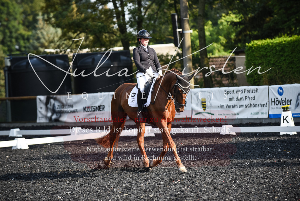 DSC_3275 | Pferde- und Turnierfotografie in Westsachsen. Pferdeportraits, Auftragszeichnungen und intuitive Kunst.