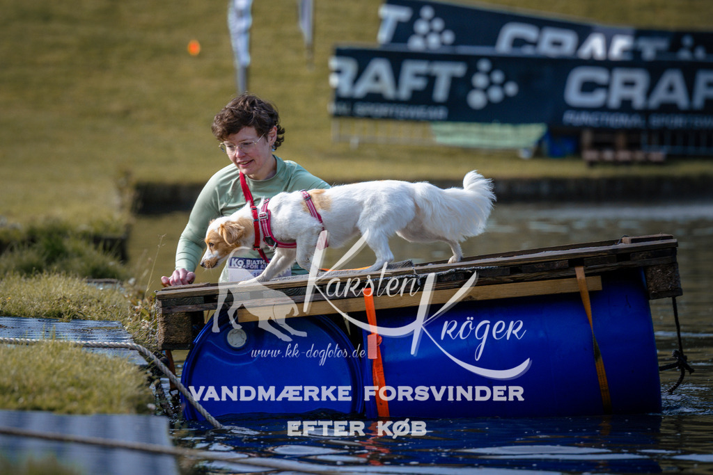 _ZZ946510718 | kk-dogfotos