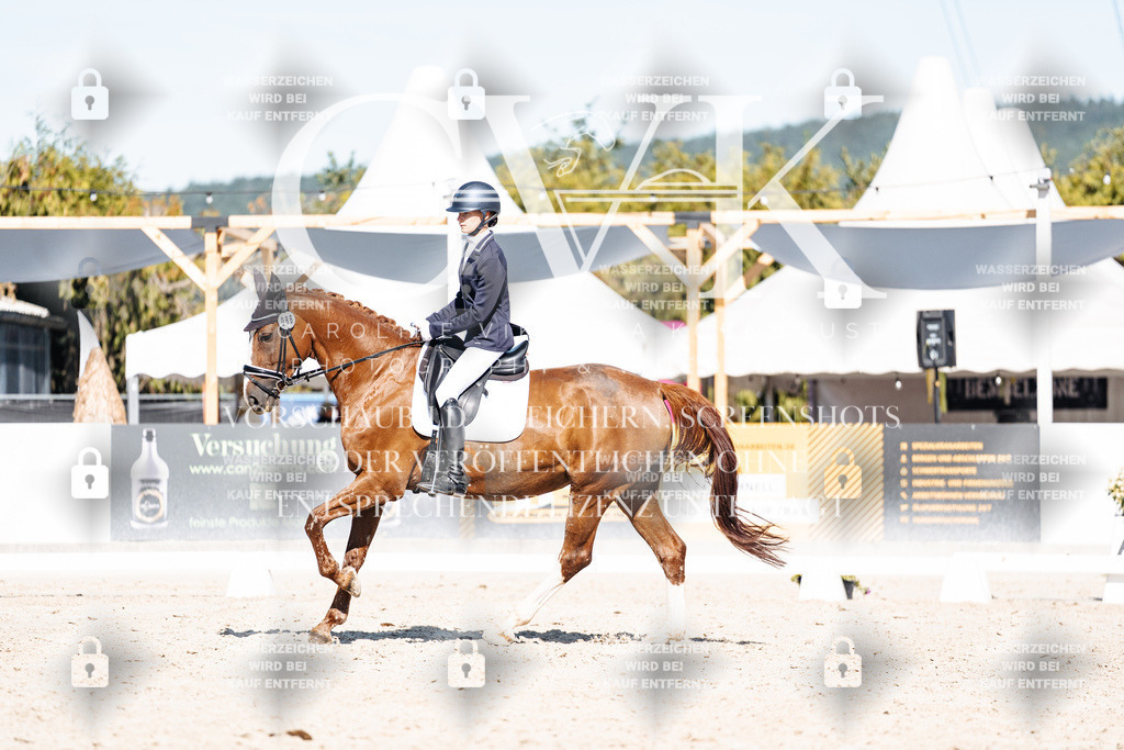 CK908441 | Turnierfotografie Pferdefotografie Trier Rheinland-Pfalz Pferdesport Reitsport Tierfotografie Sportfotografie Pferdevideo Pferdevideografie Equestrianvideography equestrianphotography  - Realisiert mit Pictrs.com