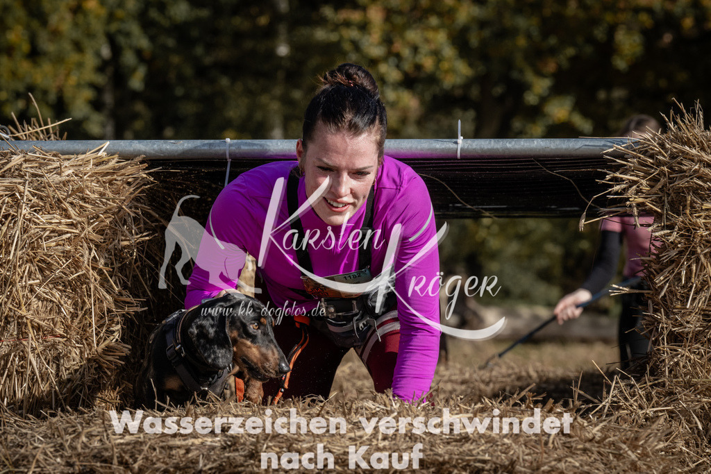 1155_ZZ92851 | kk-dogfotos