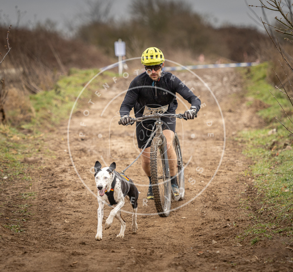 DV3A1320 | Hundefotografie, Tierfotograf, Pfotenfotografie, Fotoshooting Hund, Hunde Portrait, Hundesport, Hundeportraits, Heideshooting, Hunde, Sportfotograf, Hundefotograf, Turnierhundsport, THS,  - Realisiert mit Pictrs.com