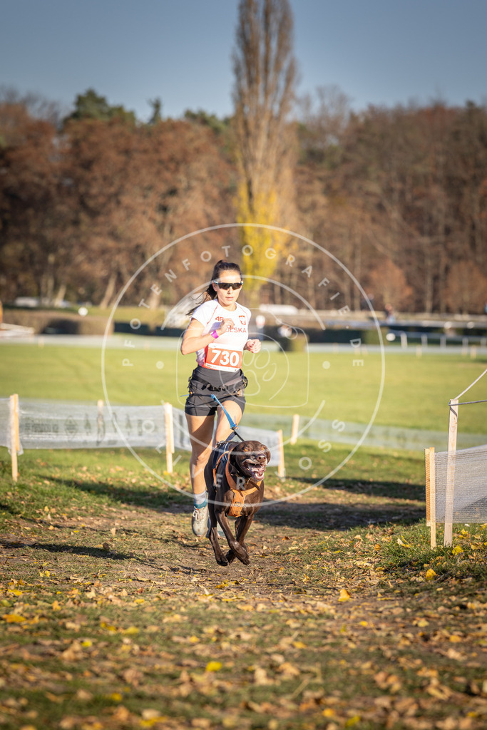 CaniXpix_DV3A2016 | Hundefotografie, Tierfotograf, Pfotenfotografie, Fotoshooting Hund, Hunde Portrait, Hundesport, Hundeportraits, Heideshooting, Hunde, Sportfotograf, Hundefotograf, Turnierhundsport, THS,  - Realisiert mit Pictrs.com