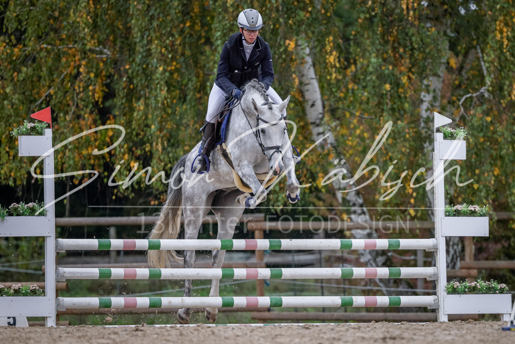 20251012-_3LI4042 | Tierfotografie Pferde, Hunde, Katzen, Haustiere.
Turnierfotografie Reitturniere, Reiten, Springreiten, Dressur in Hanau, dem Main-Kinzig-Kreis und dem Rhein-Main- Gebiet um Frankfurt