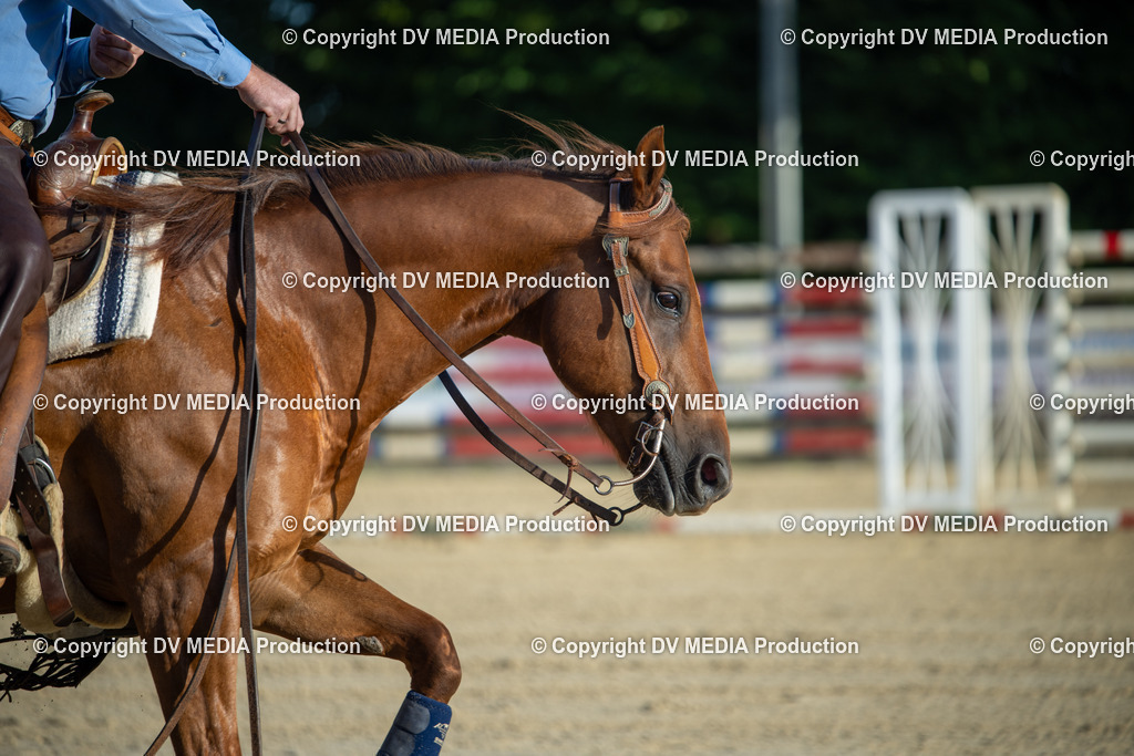 ZS1_0595 | dv-media-shop - Realisiert mit Pictrs.com