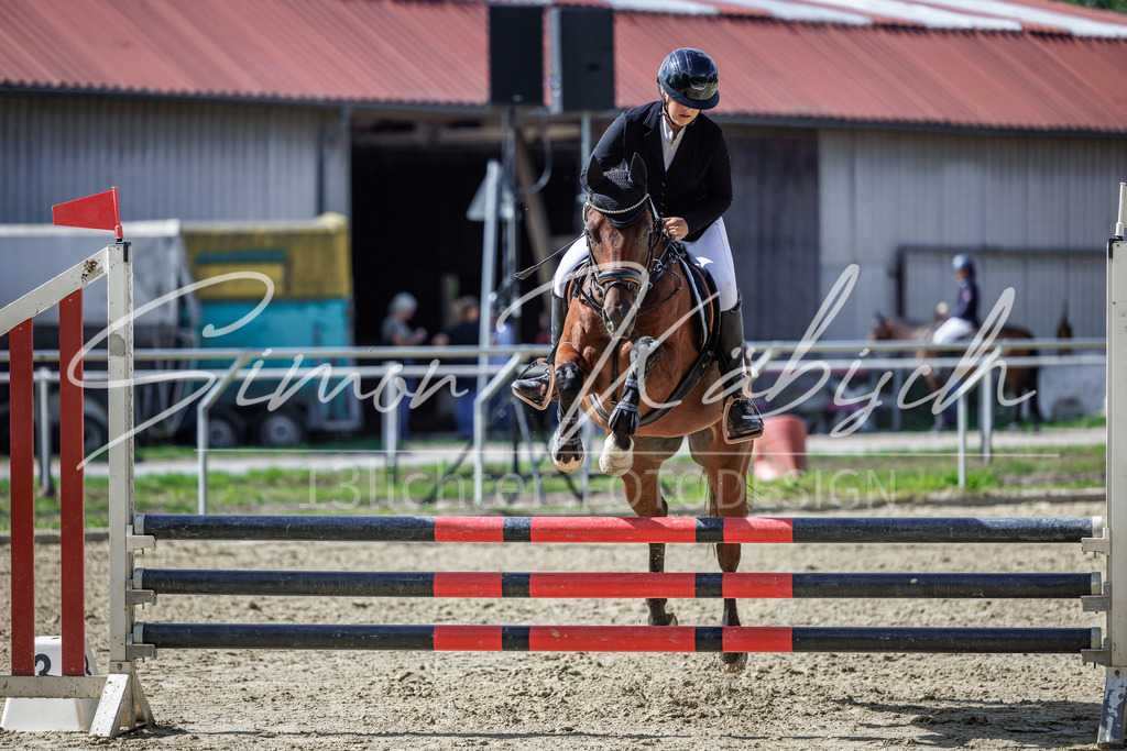 20260905-_3LI9170 | Tierfotografie Pferde, Hunde, Katzen, Haustiere.
Turnierfotografie Reitturniere, Reiten, Springreiten, Dressur in Hanau, dem Main-Kinzig-Kreis und dem Rhein-Main- Gebiet um Frankfurt