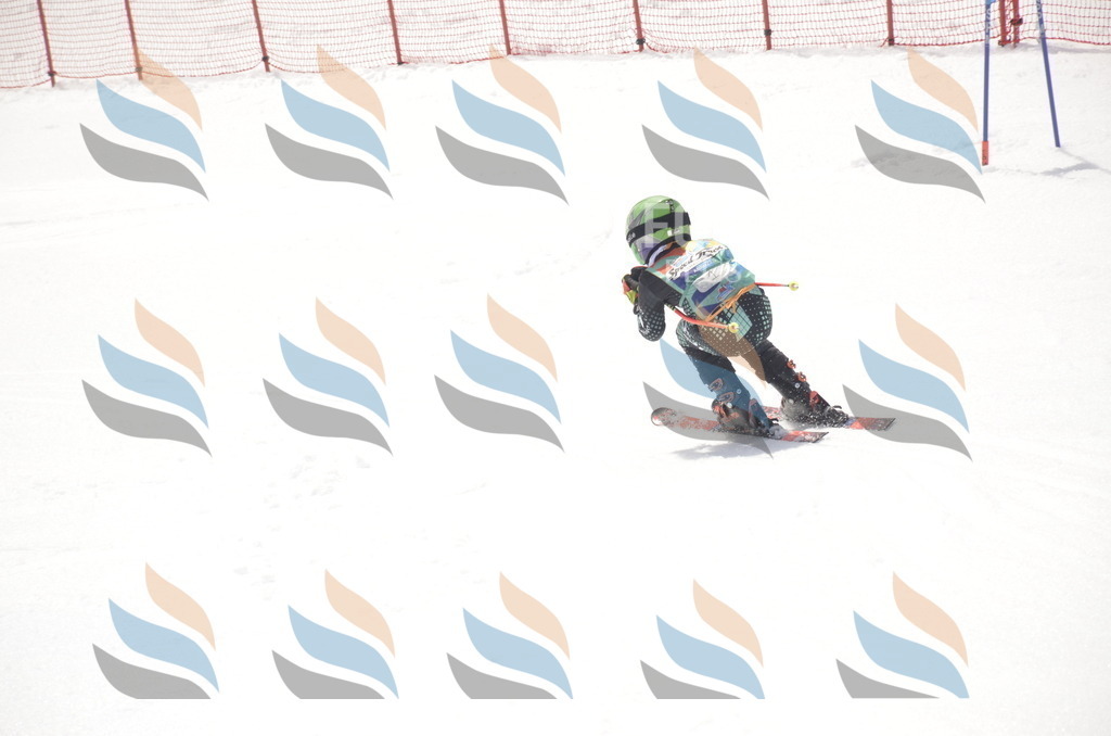 _ELE8459 | holidayphoto