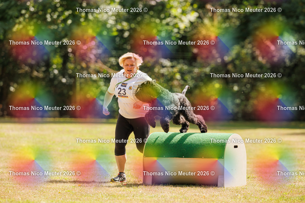 Thomas_Nico_Meuter(C)_22. August 2026_223A5413 | Bild von Thomas Nico Meuter - Realisiert mit Pictrs.com