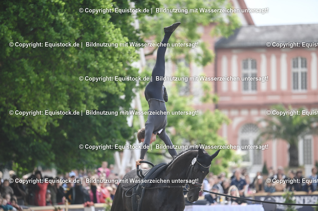 20240519_Voltige_0493 | Foto: Thomas Hartig