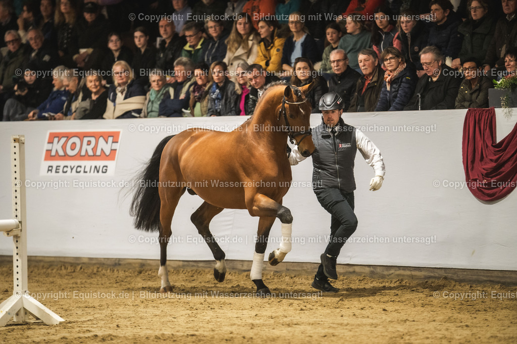 20240302_Hengstvorstellung_Marbach_TOMsPiC_0240-2 | equistock