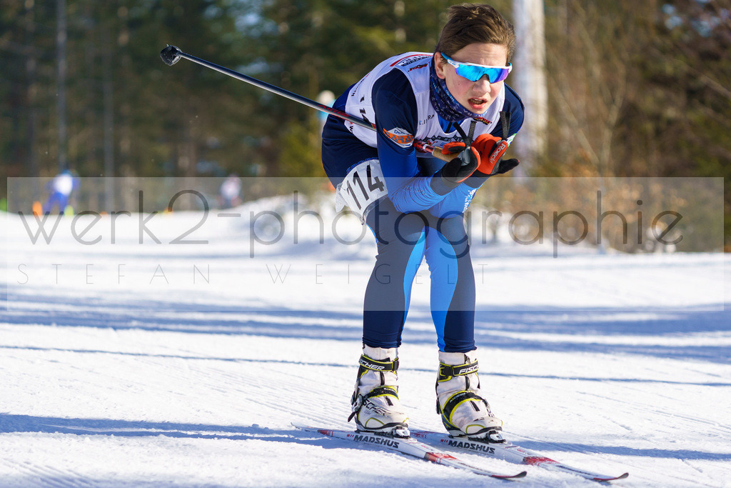 DSC Arber | Bayerischer Wald am 9. bis 12. Februar 2023
