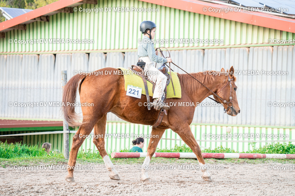 BAL02874 | dv-media-shop - Realisiert mit Pictrs.com