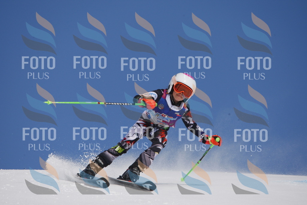 _W1G0684 | holidayphoto