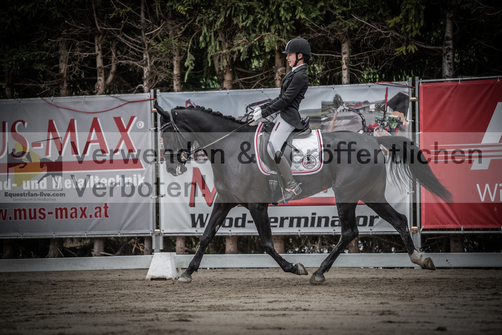 DSC_9474 | equestrian-live-com