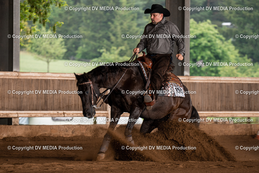 Erbach Tag 2-804 | dv-media-shop - Realisiert mit Pictrs.com