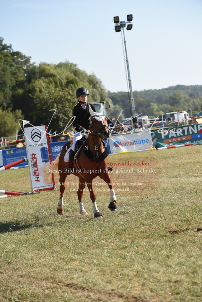 DSC_5829 | Pferde- und Turnierfotografie in Westsachsen. Pferdeportraits, Auftragszeichnungen und intuitive Kunst.