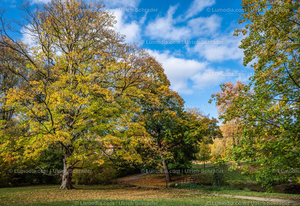 10049-12581 - Schloßpark Ilsenburg im Harz | Stockfoto und Bilderpool mit Bildmaterial aus Deutschland, dem Harz, Halberstadt, Quedlinburg, Wernigerode und weltweit. Qualitativ hochwertige und professionelle Fotos anschauen und kaufen. - Realisiert mit Pictrs.com