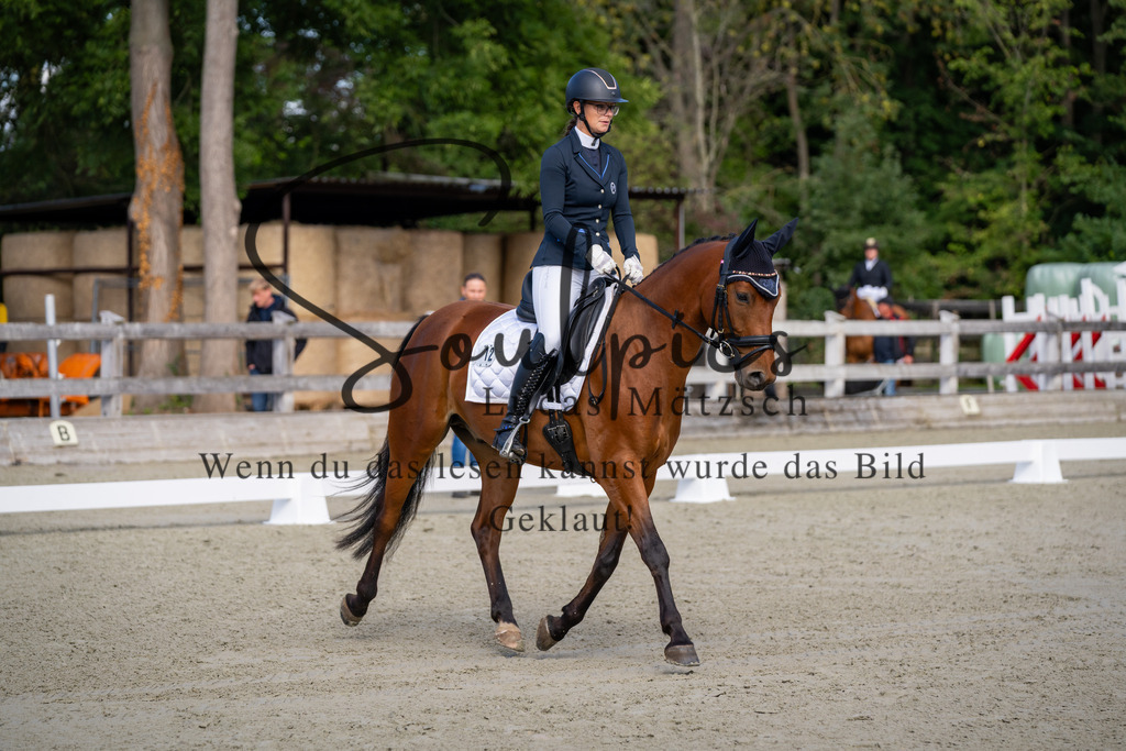 A7V06859 | Pferdefotograf