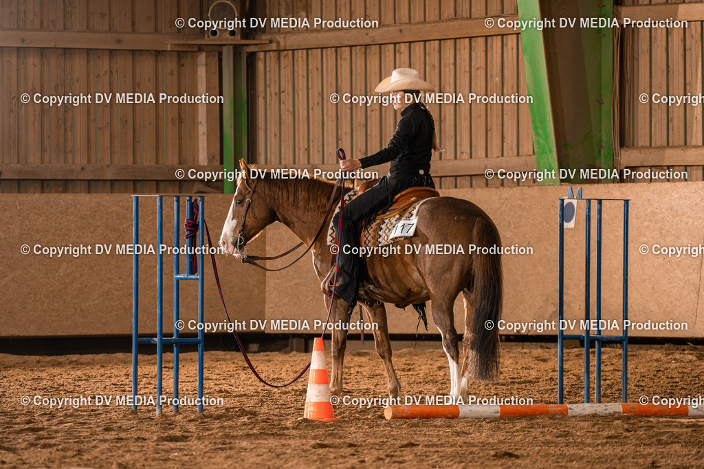 BA300349 | dv-media-shop - Realisiert mit Pictrs.com