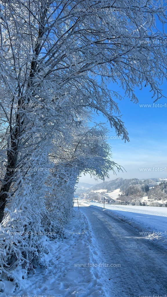 IMG_E6775 | www.foto-fritz.com - Realisiert mit Pictrs.com